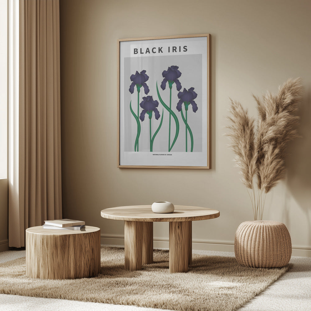 Black Iris - National flower of Jordan Poster