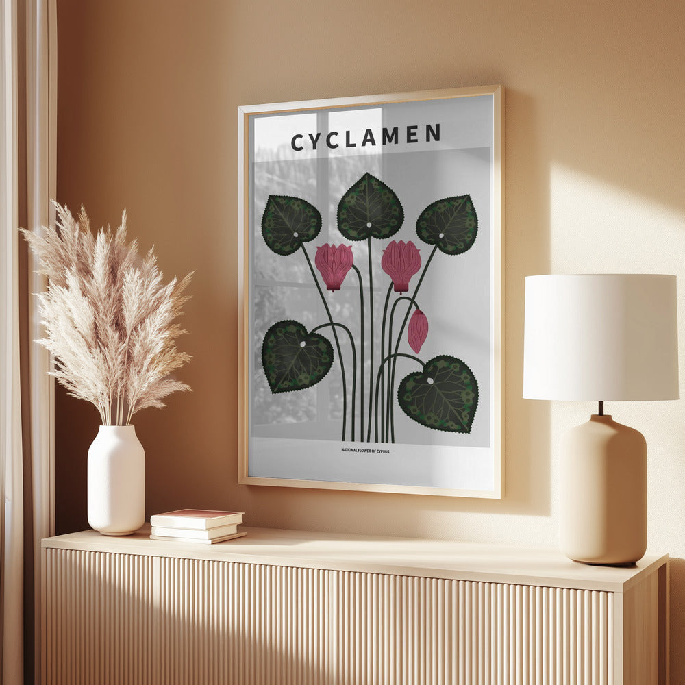 Cyklamen - National flower of Cypres Poster