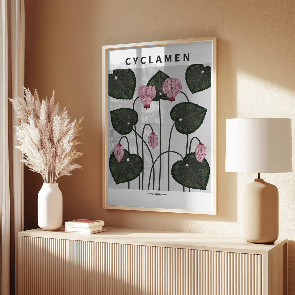 Cyclamen - National flower of Israel Poster