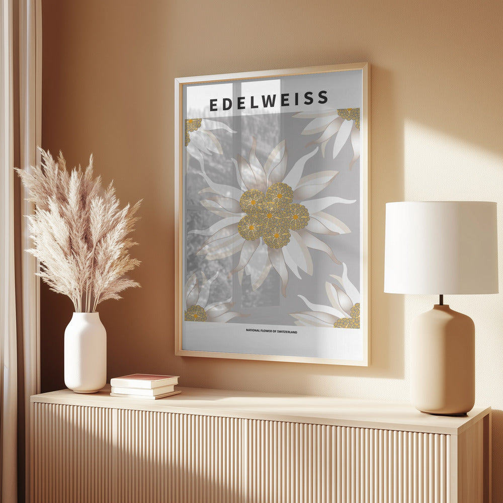 Edelweiss - National flower of Switzerland Poster