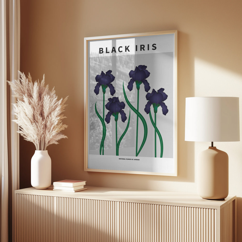 Black Iris - National flower of Jordan Poster