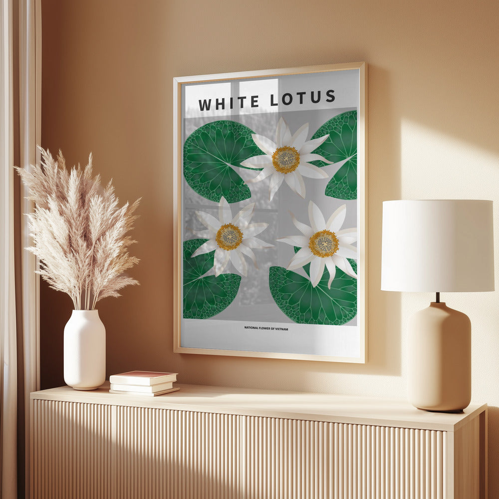 White Lotus - National flower of Vietnam Poster