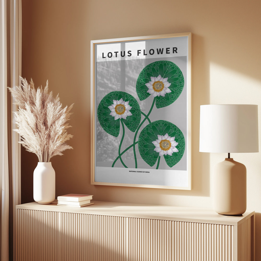 Lotus flower - National flower of India Poster