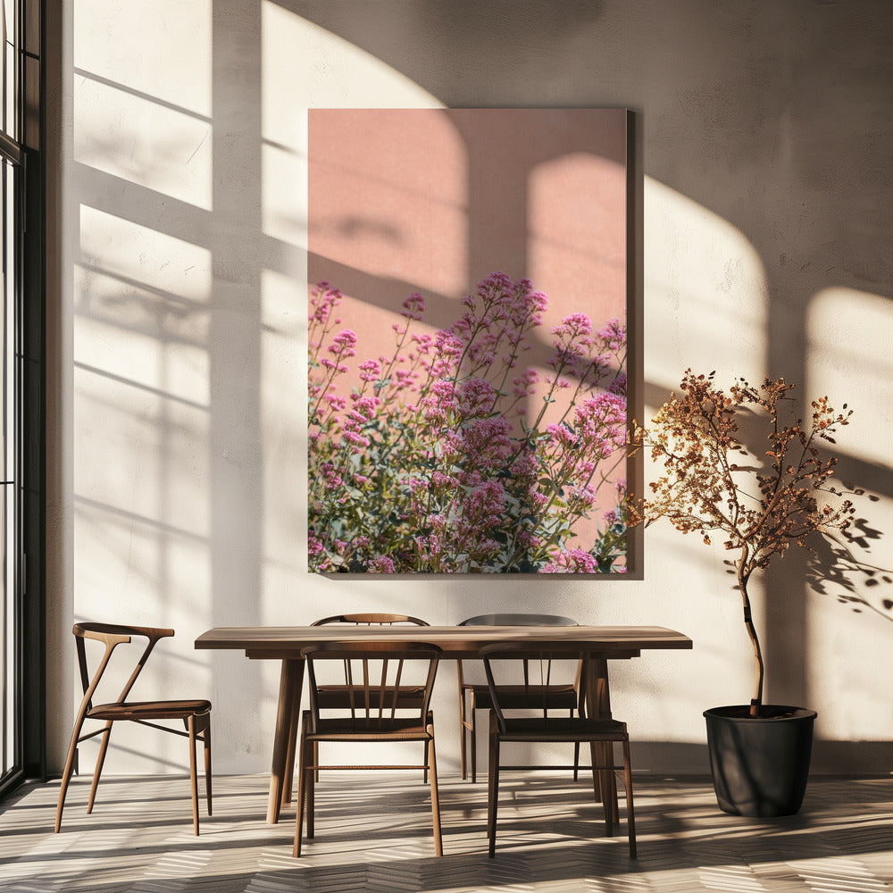 Summer Flowers Poster