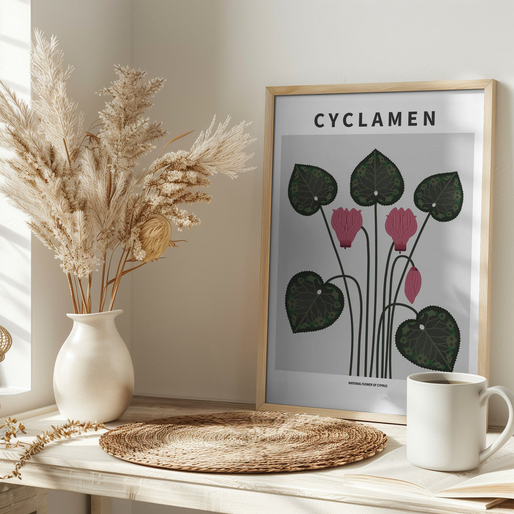 Cyklamen - National flower of Cypres Poster