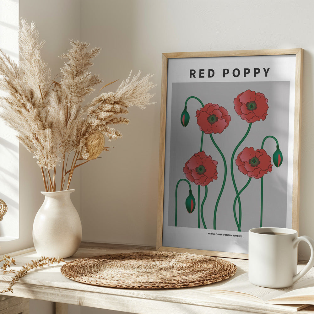 Red Poppy - National flower of Belgium Poster