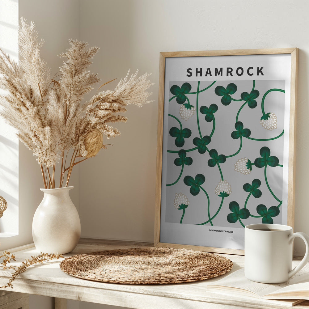 Shamrock - National flower of Ireland Poster