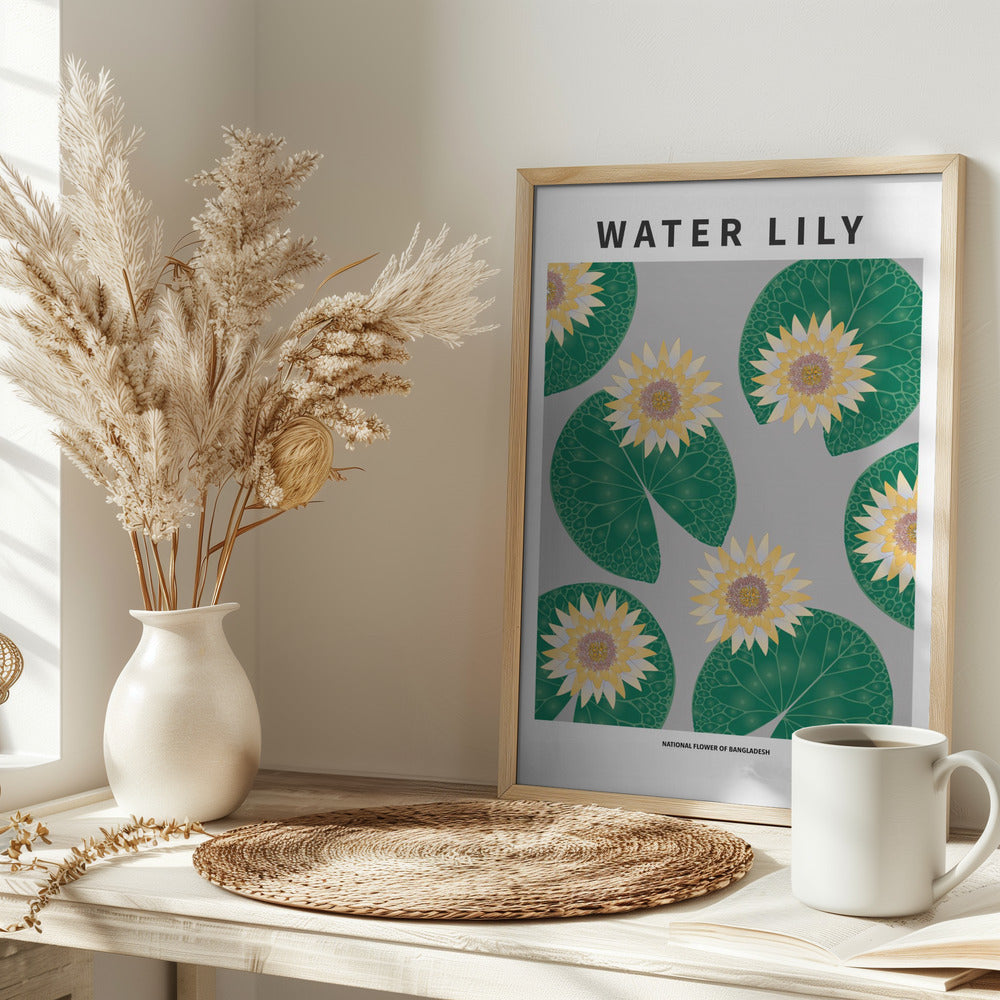 Water lily - National flower of Bangladesh Poster