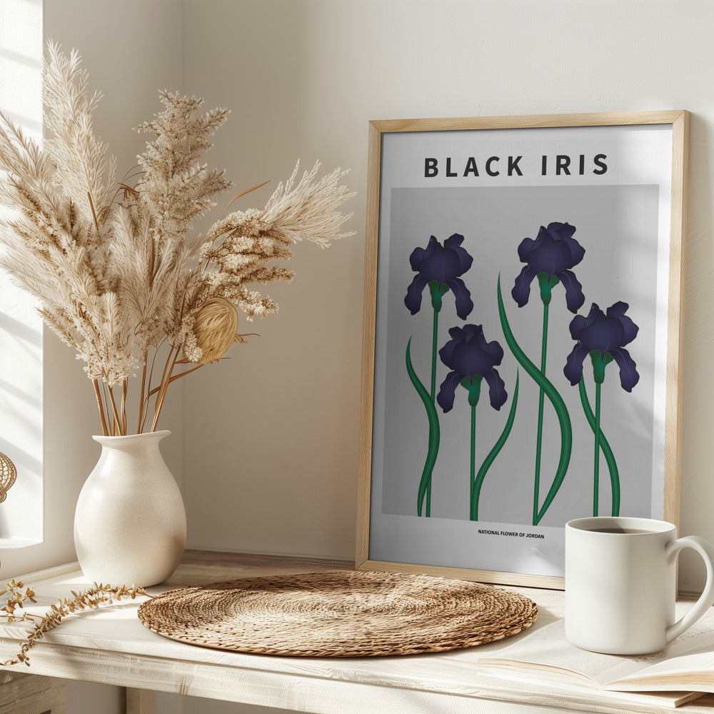 Black Iris - National flower of Jordan Poster
