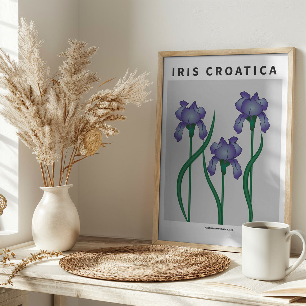 Iris Croatica - National flower of Croatia Poster