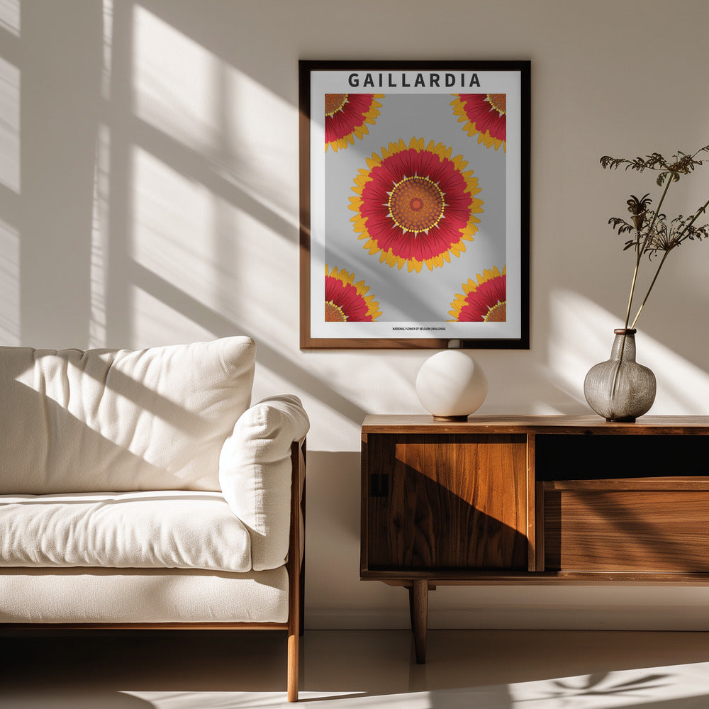 Gaillardia - National flower of Belgium Poster