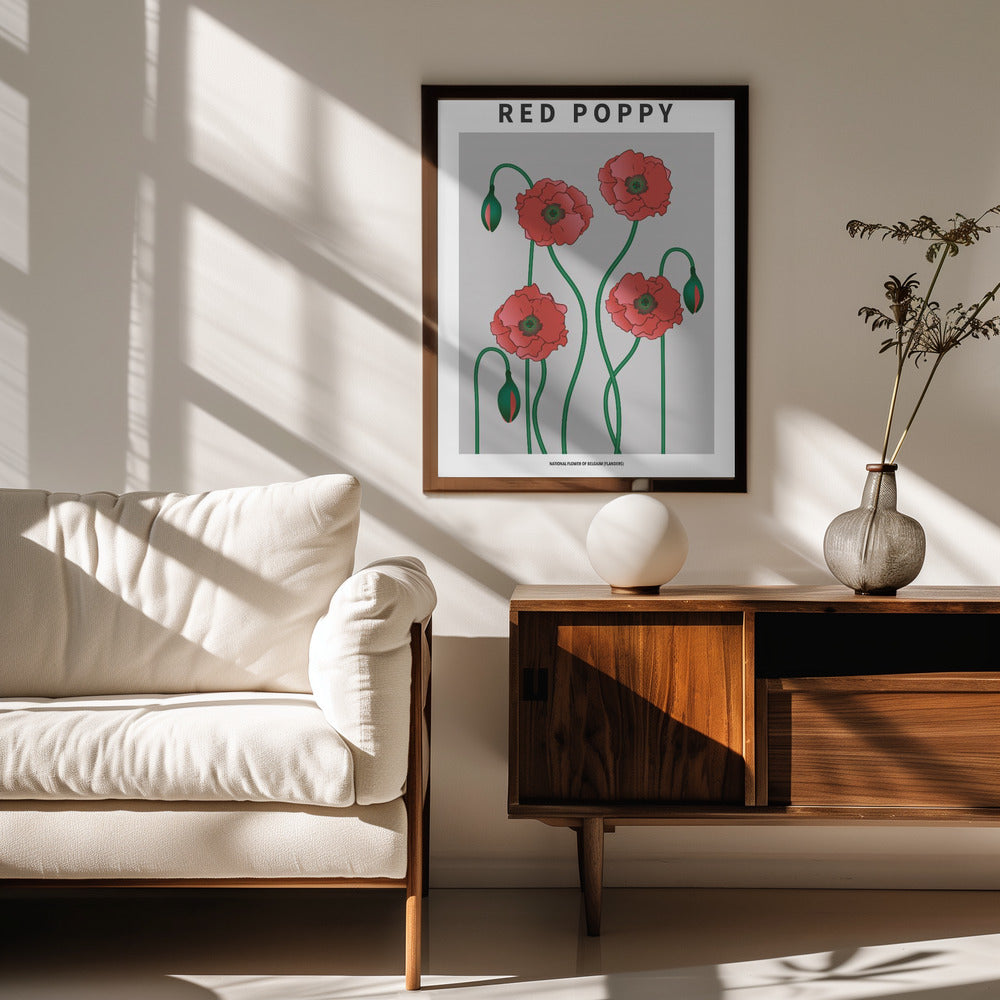 Red Poppy - National flower of Belgium Poster