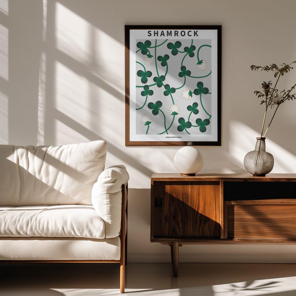 Shamrock - National flower of Ireland Poster