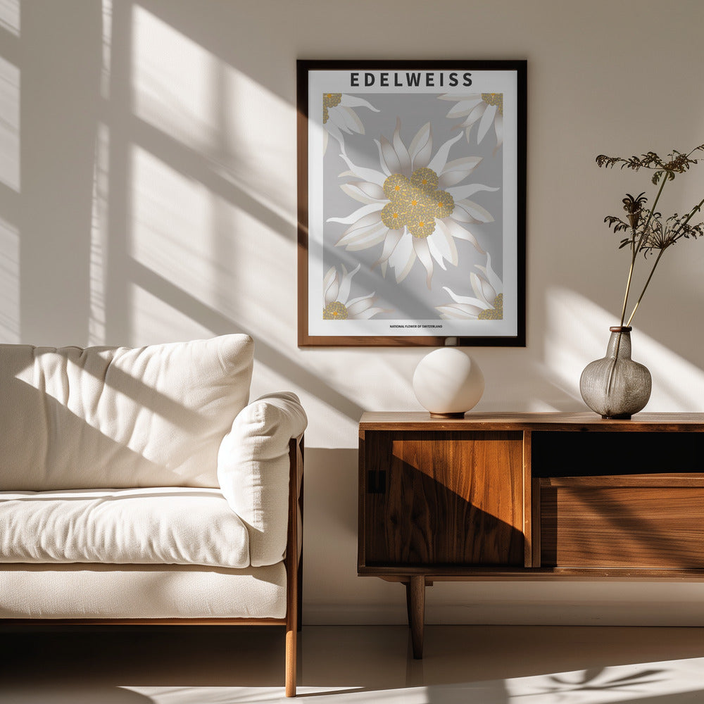Edelweiss - National flower of Switzerland Poster