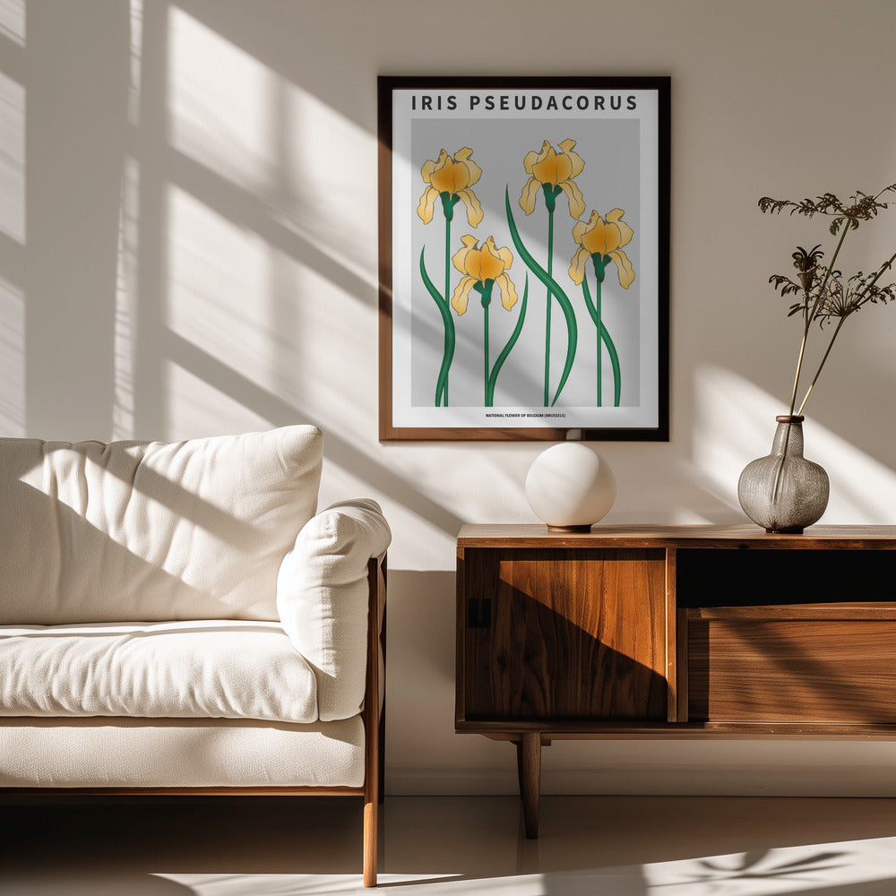 Iris - National flower of Belgium Poster