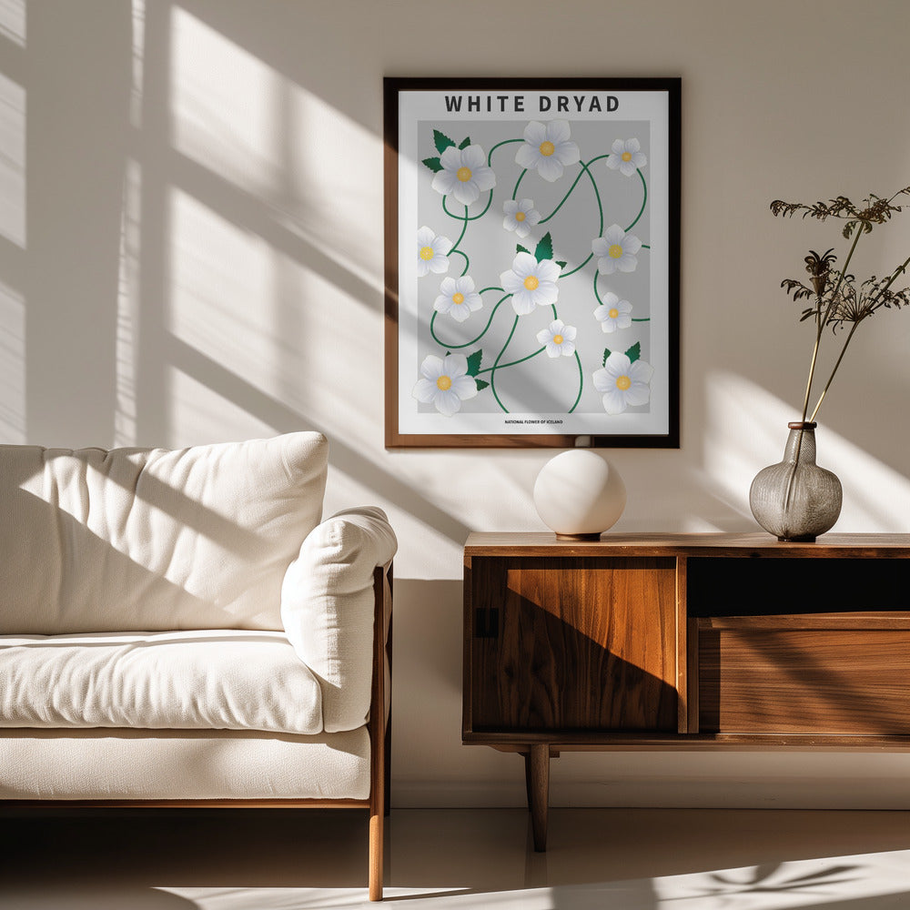 White dryad - National flower of Iceland Poster