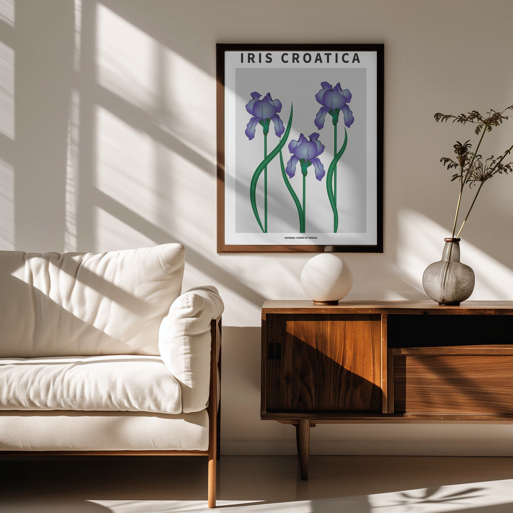 Iris Croatica - National flower of Croatia Poster