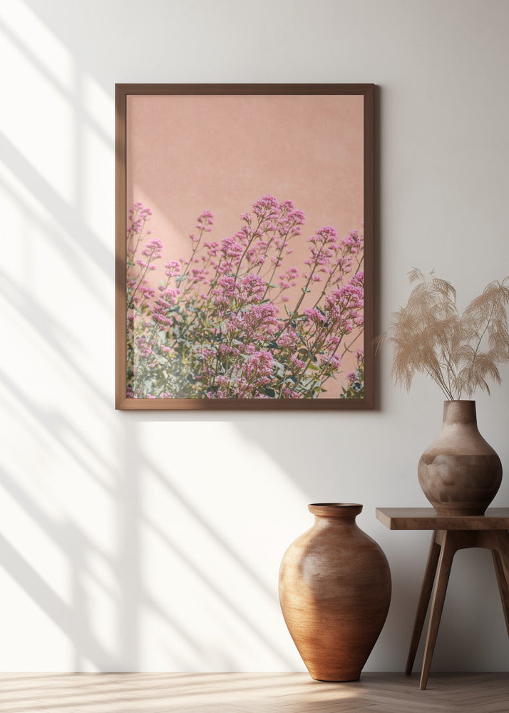 Summer Flowers Poster