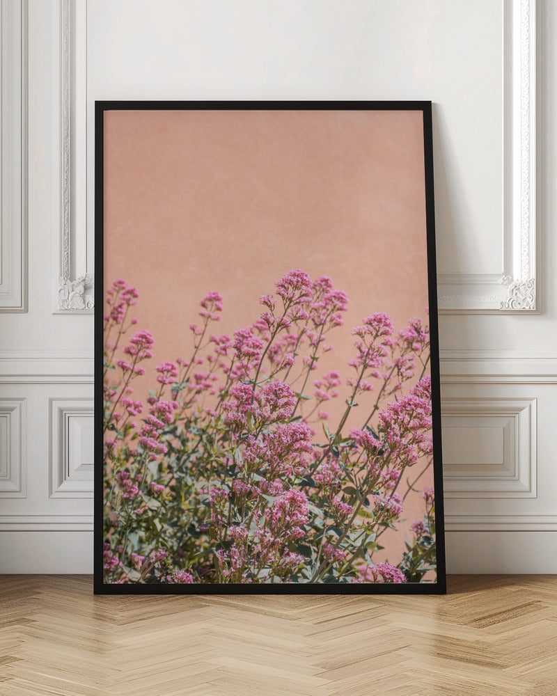 Summer Flowers Poster