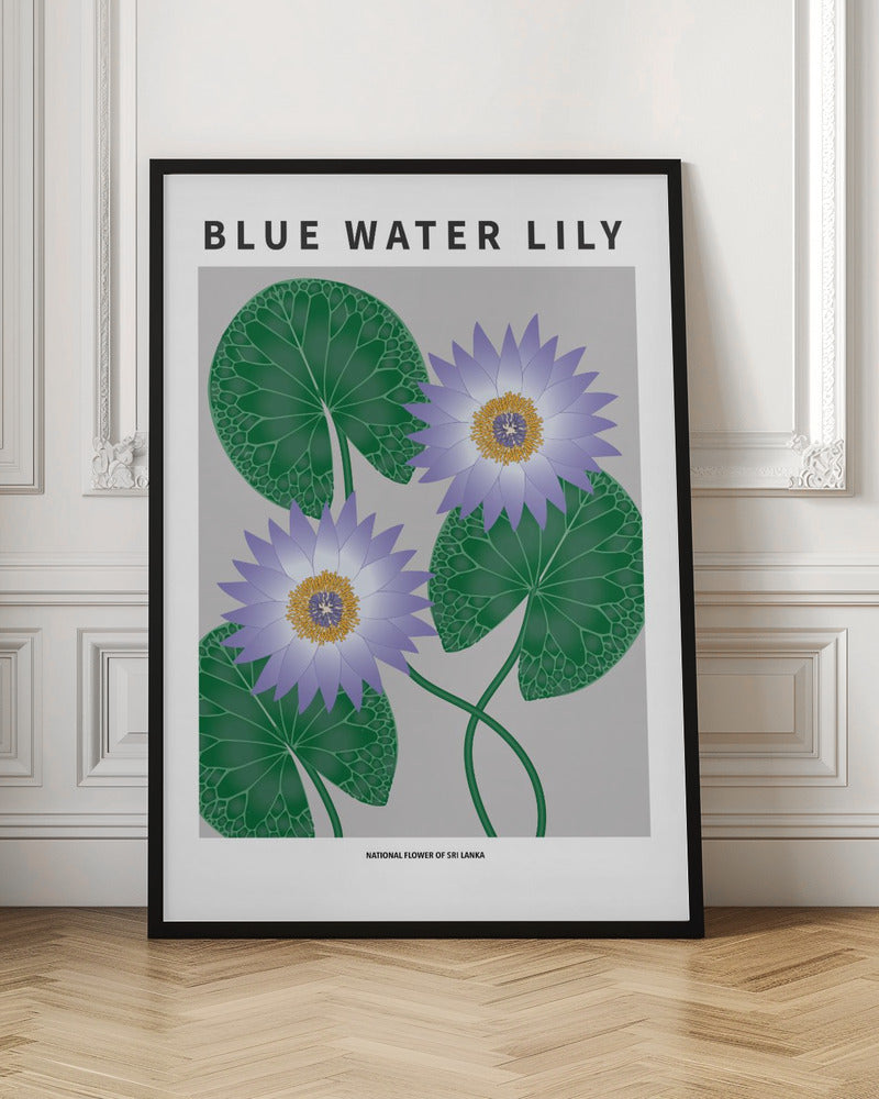Blue Water Lily - National flower of Sri Lanka Poster