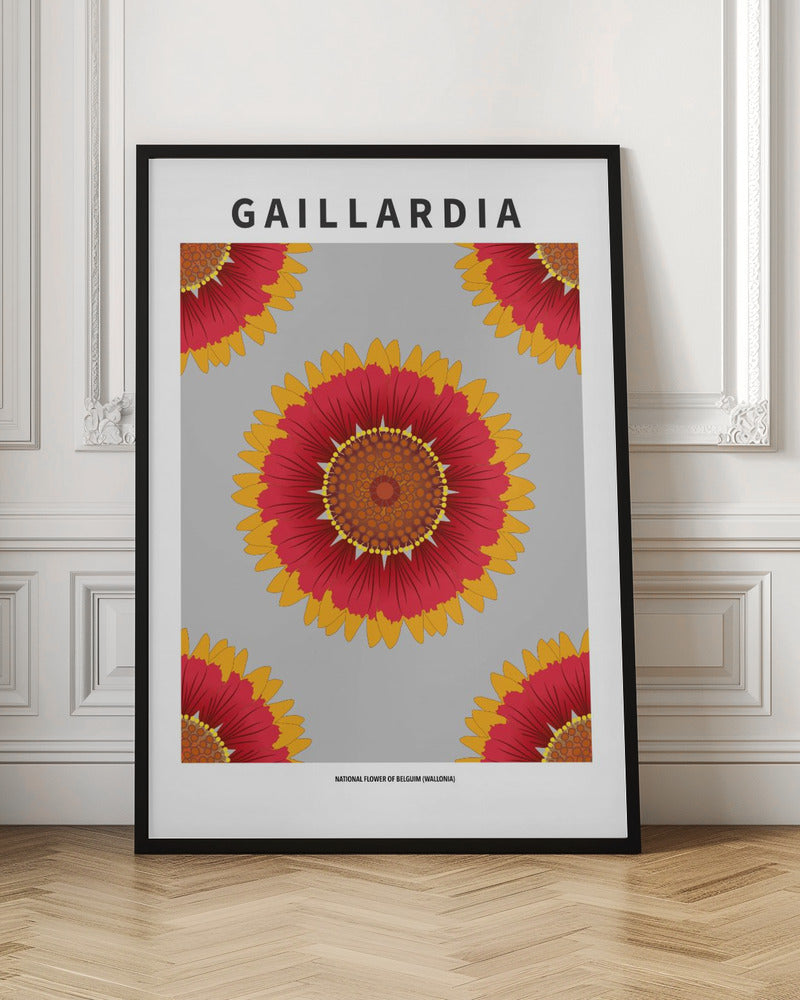 Gaillardia - National flower of Belgium Poster