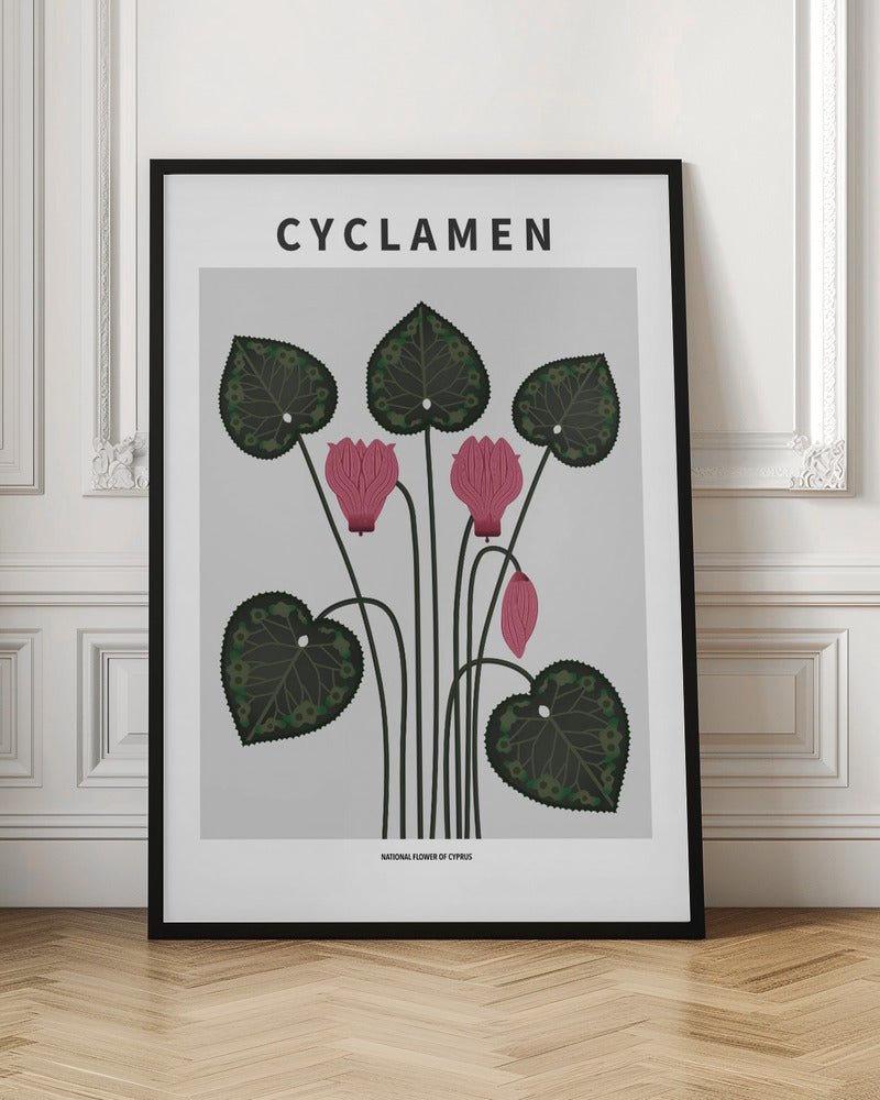 Cyklamen - National flower of Cypres Poster