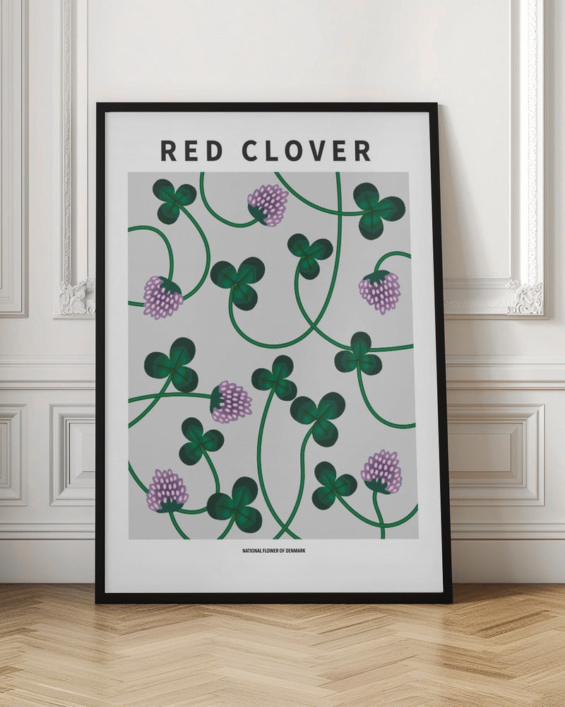 Red Clover - National flower of Denmark Poster
