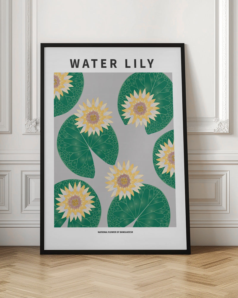 Water lily - National flower of Bangladesh Poster