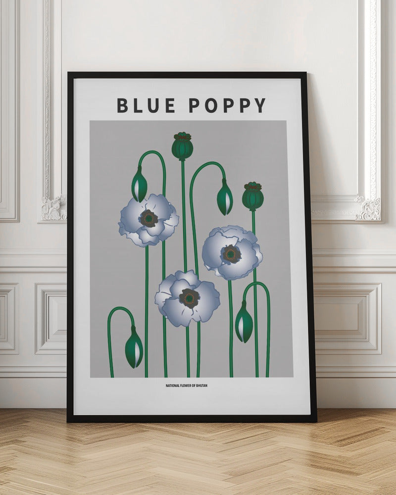 Blue Poppy - National flower of Bhutan Poster