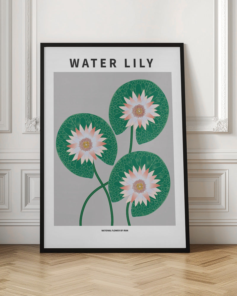 Water Lily - National flower of Iran Poster