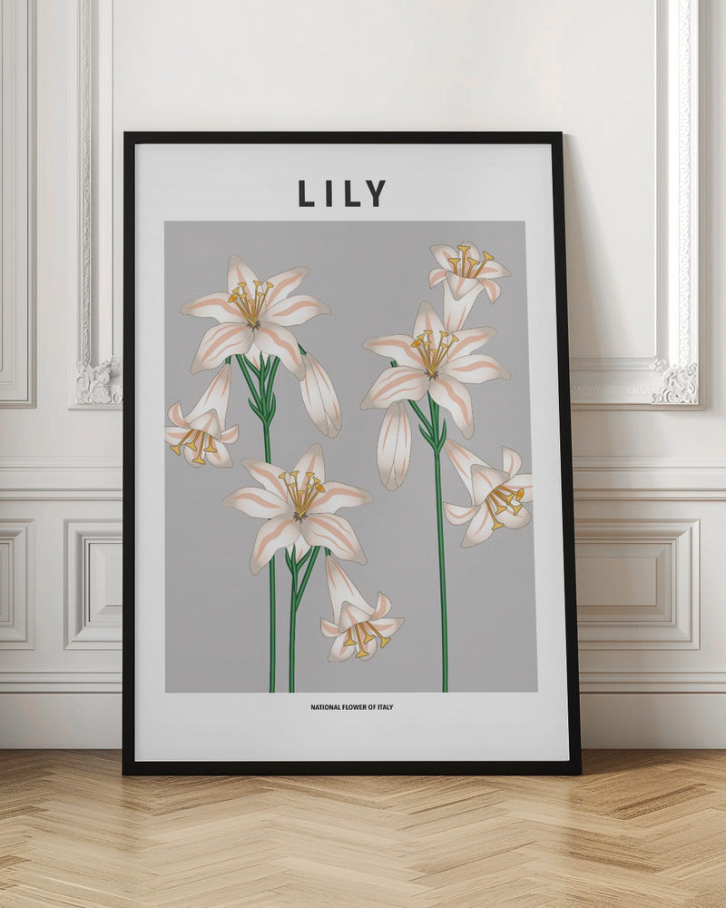 Lily - National flower of Italy Poster