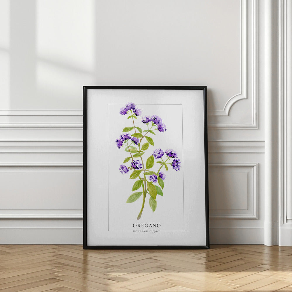 Oregano II Poster