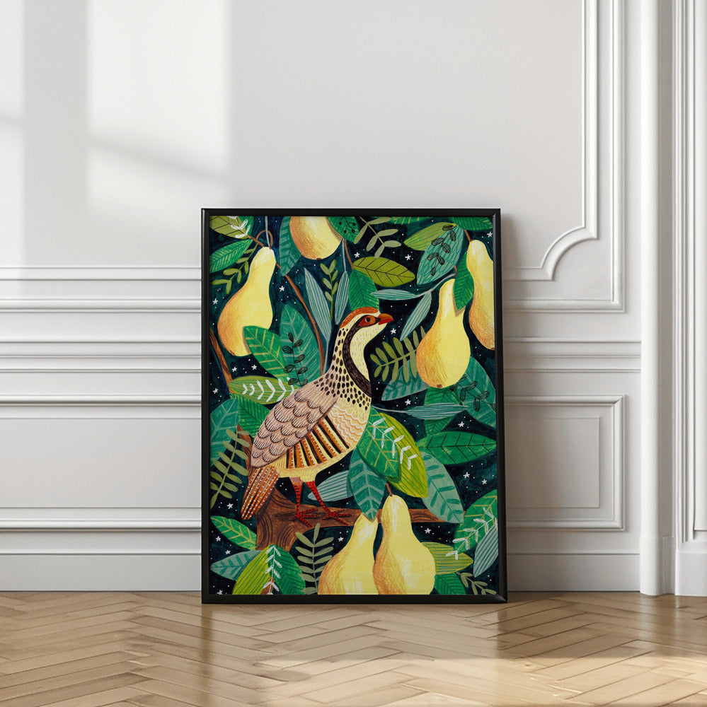 Partridge in a pear tree Poster