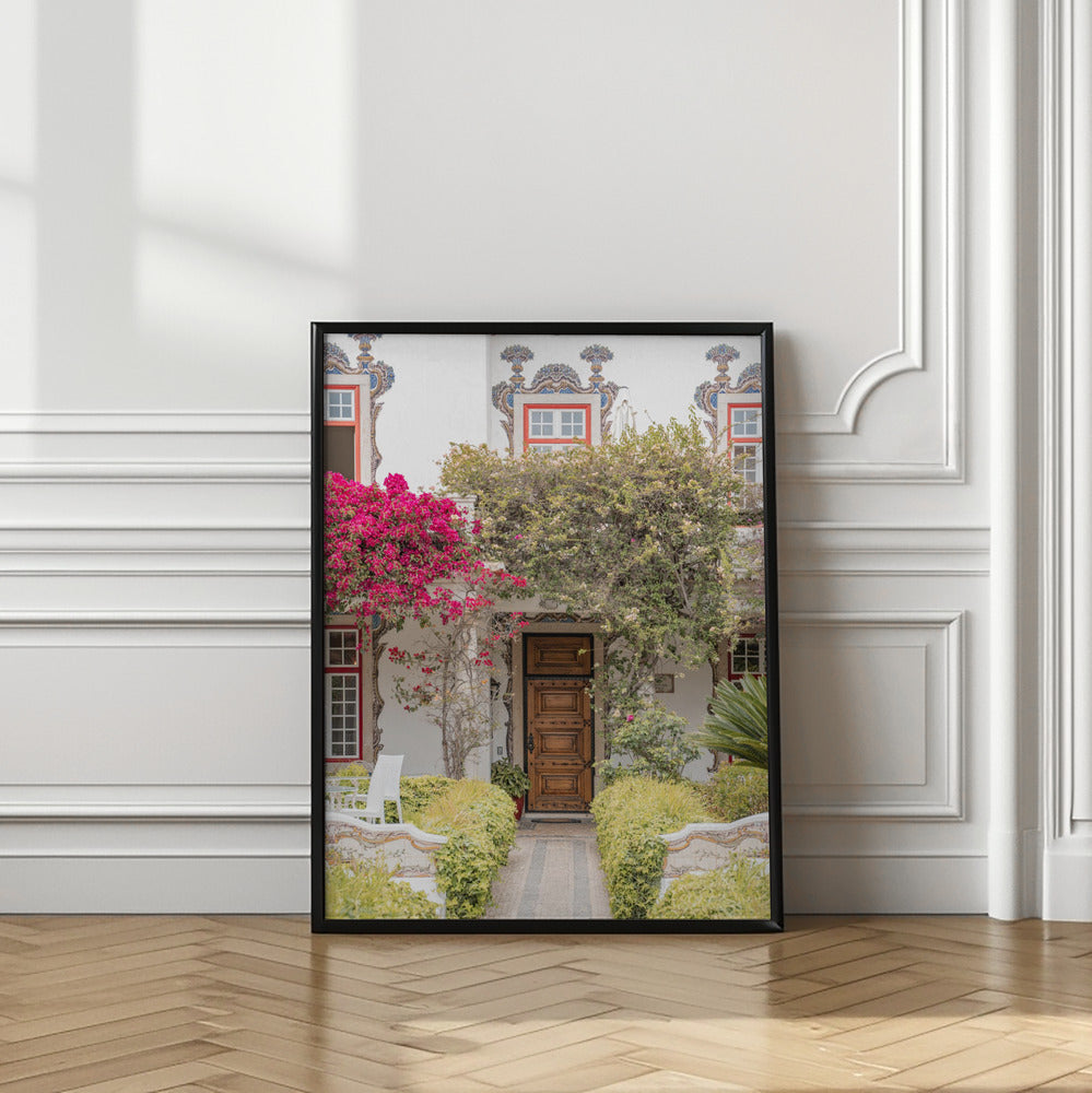 Graceful Entry Poster