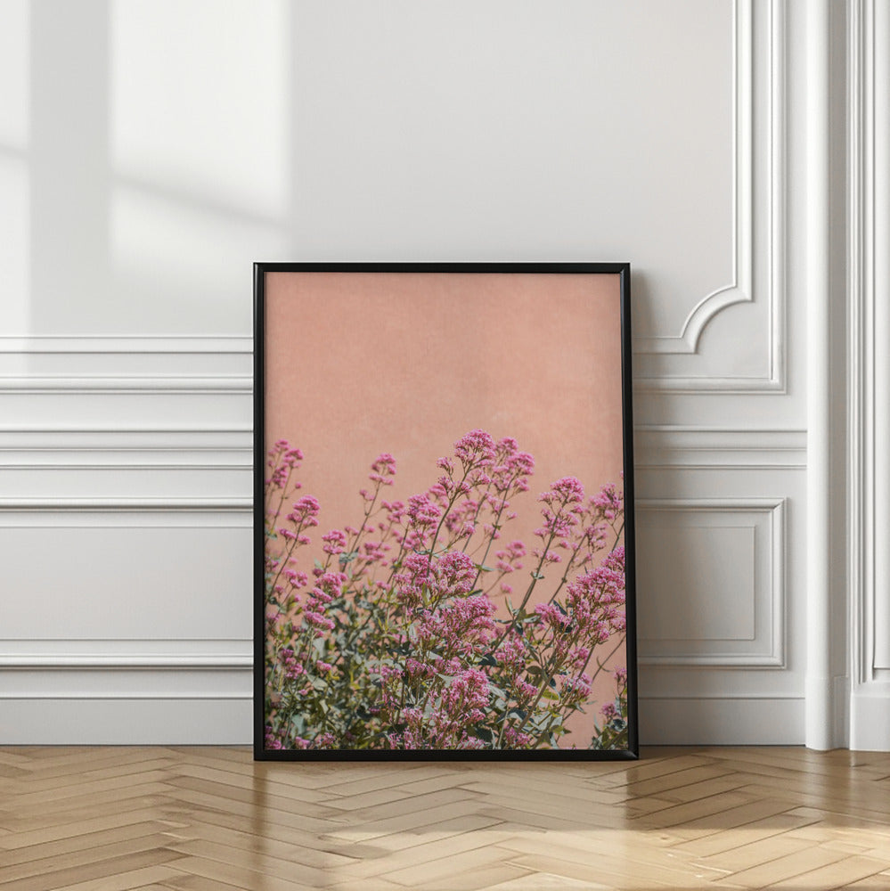 Summer Flowers Poster