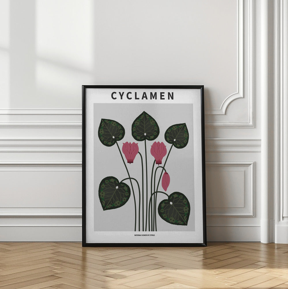 Cyklamen - National flower of Cypres Poster