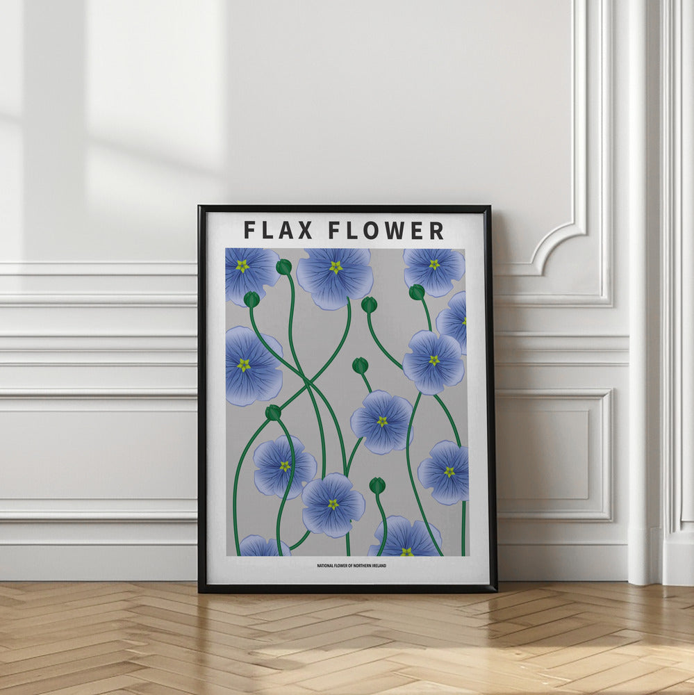 Flax flower - National flower of Ireland Poster