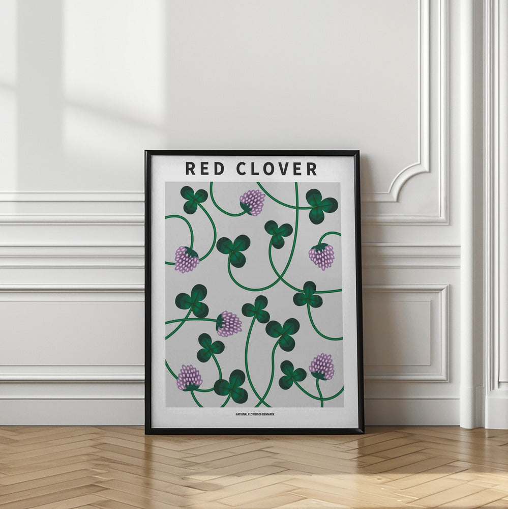 Red Clover - National flower of Denmark Poster