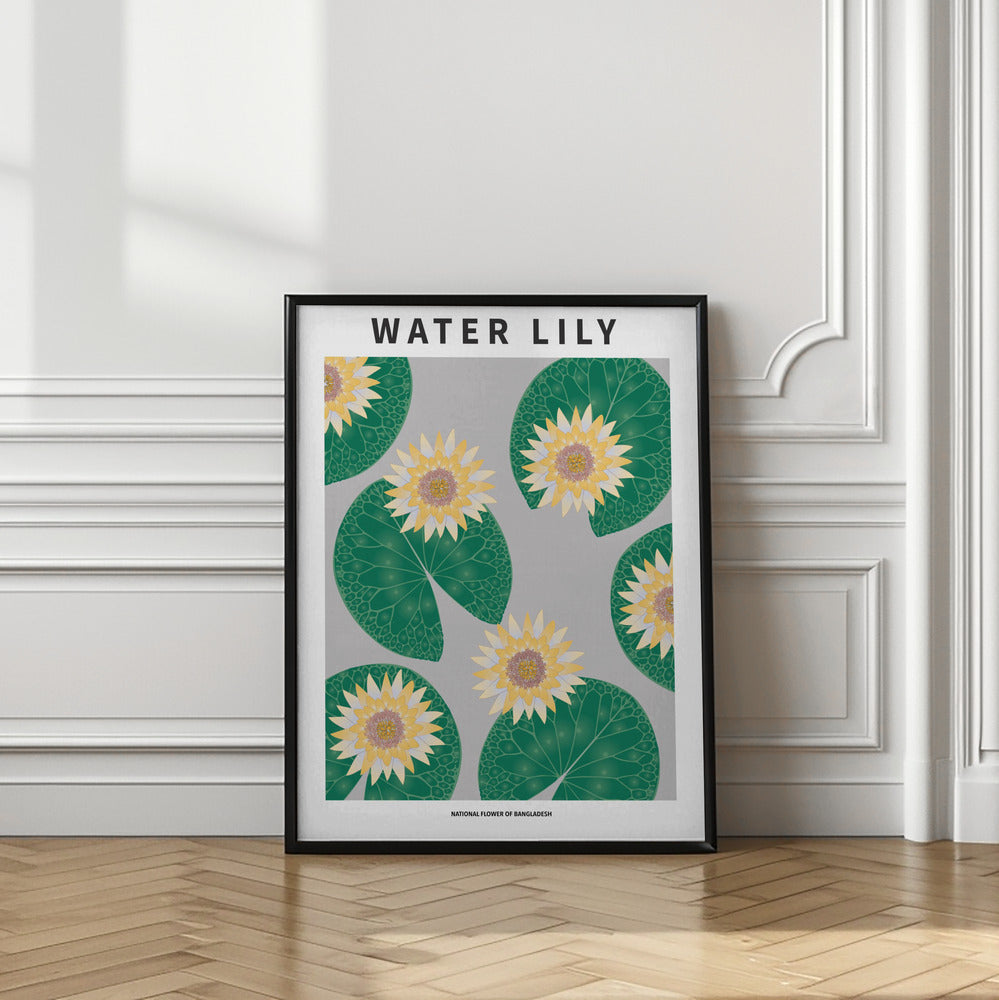 Water lily - National flower of Bangladesh Poster