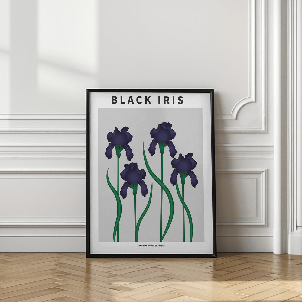 Black Iris - National flower of Jordan Poster