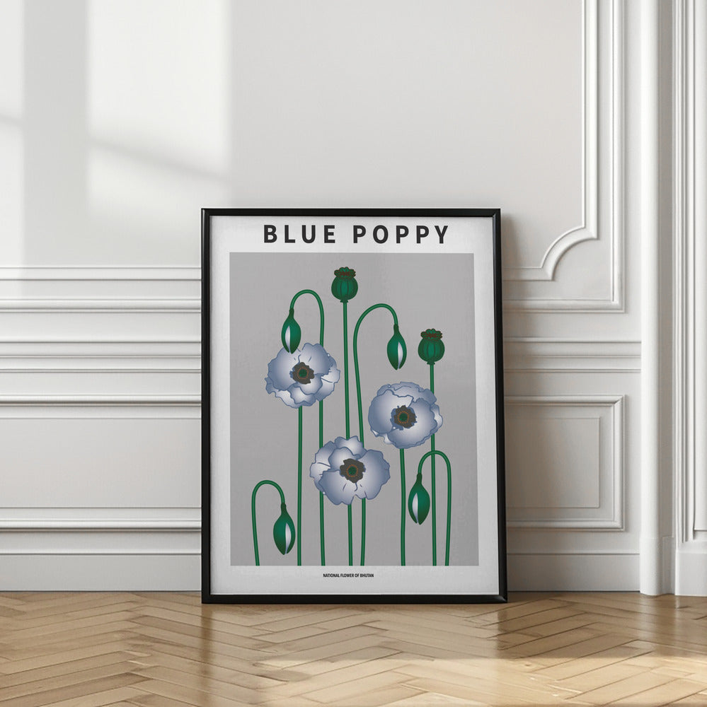 Blue Poppy - National flower of Bhutan Poster
