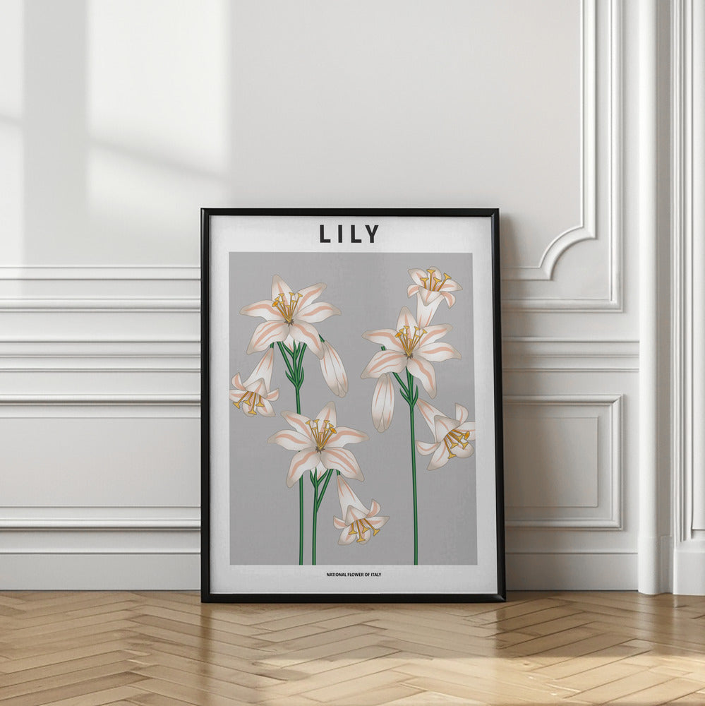 Lily - National flower of Italy Poster