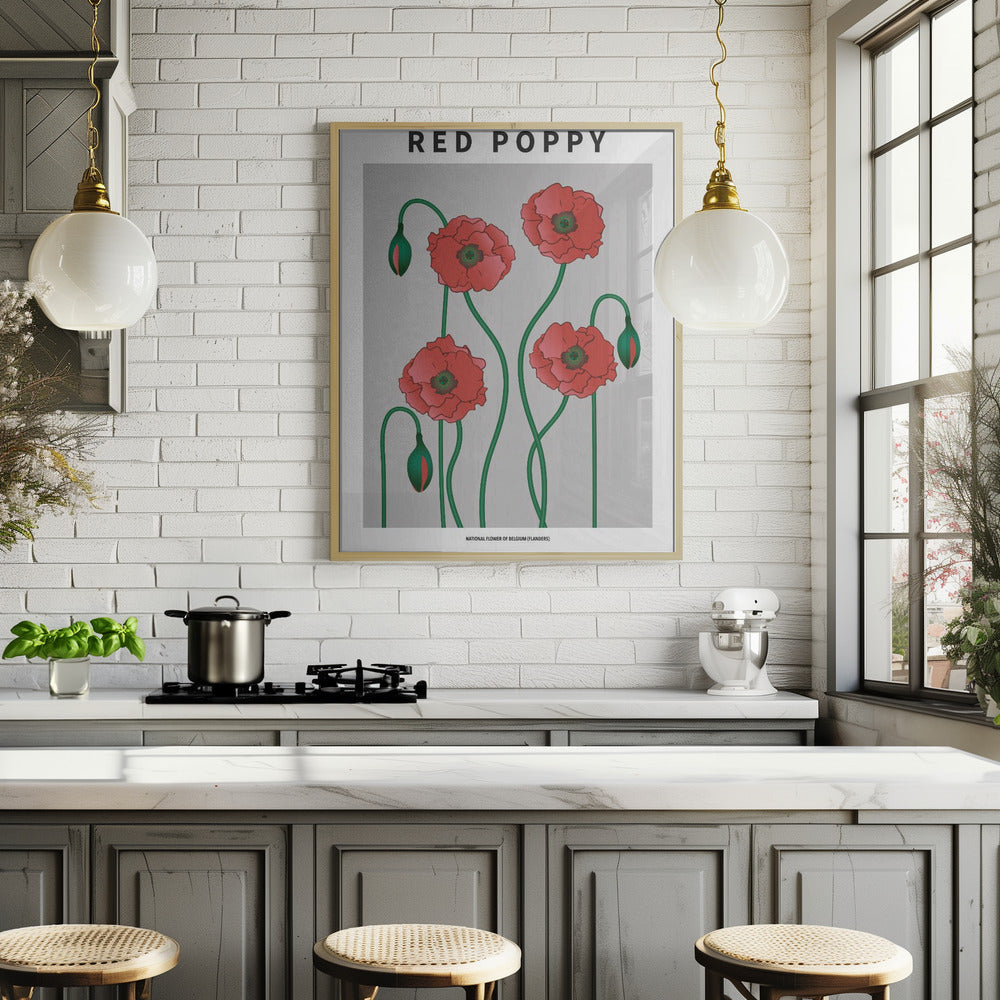 Red Poppy - National flower of Belgium Poster