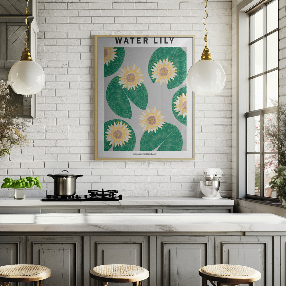 Water lily - National flower of Bangladesh Poster