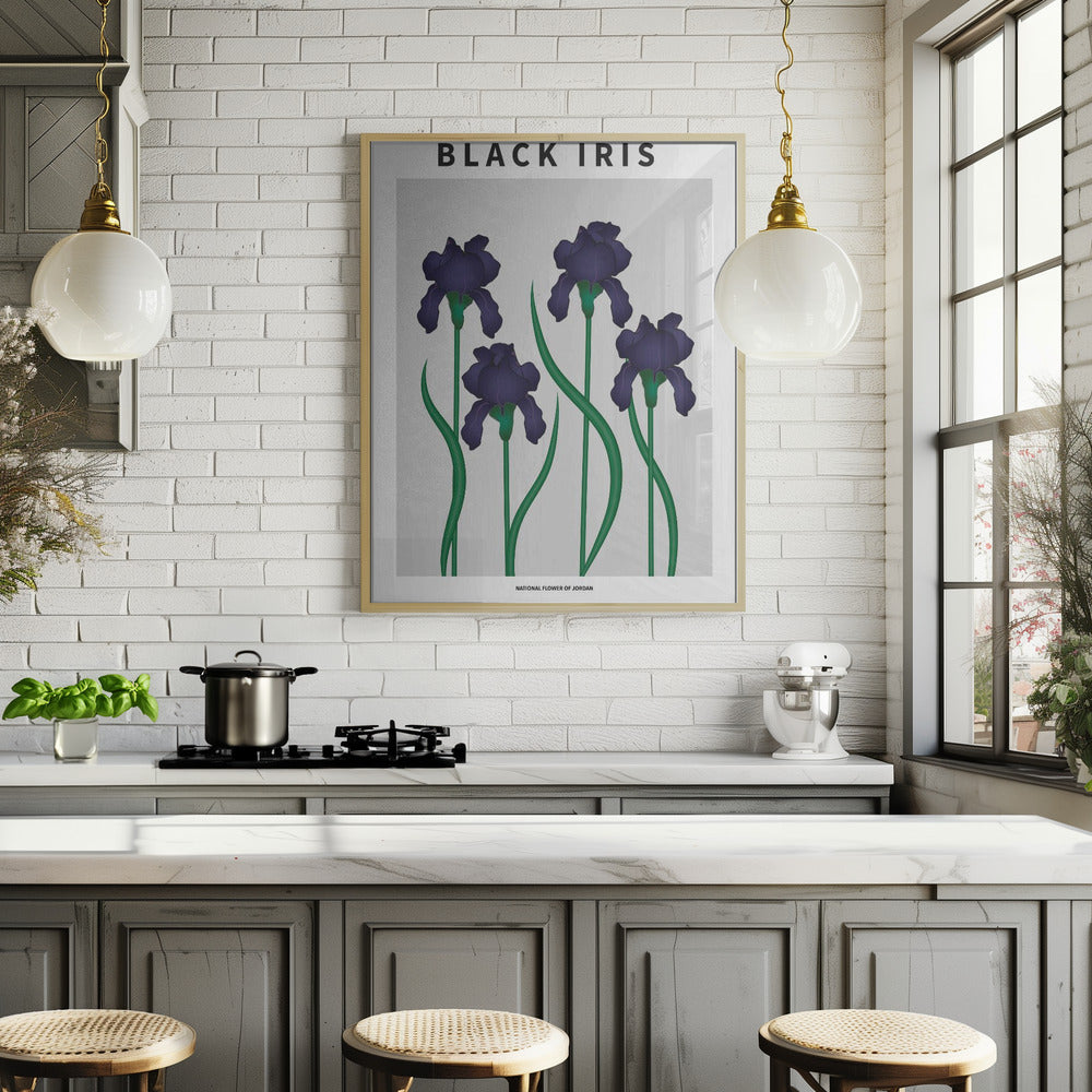 Black Iris - National flower of Jordan Poster