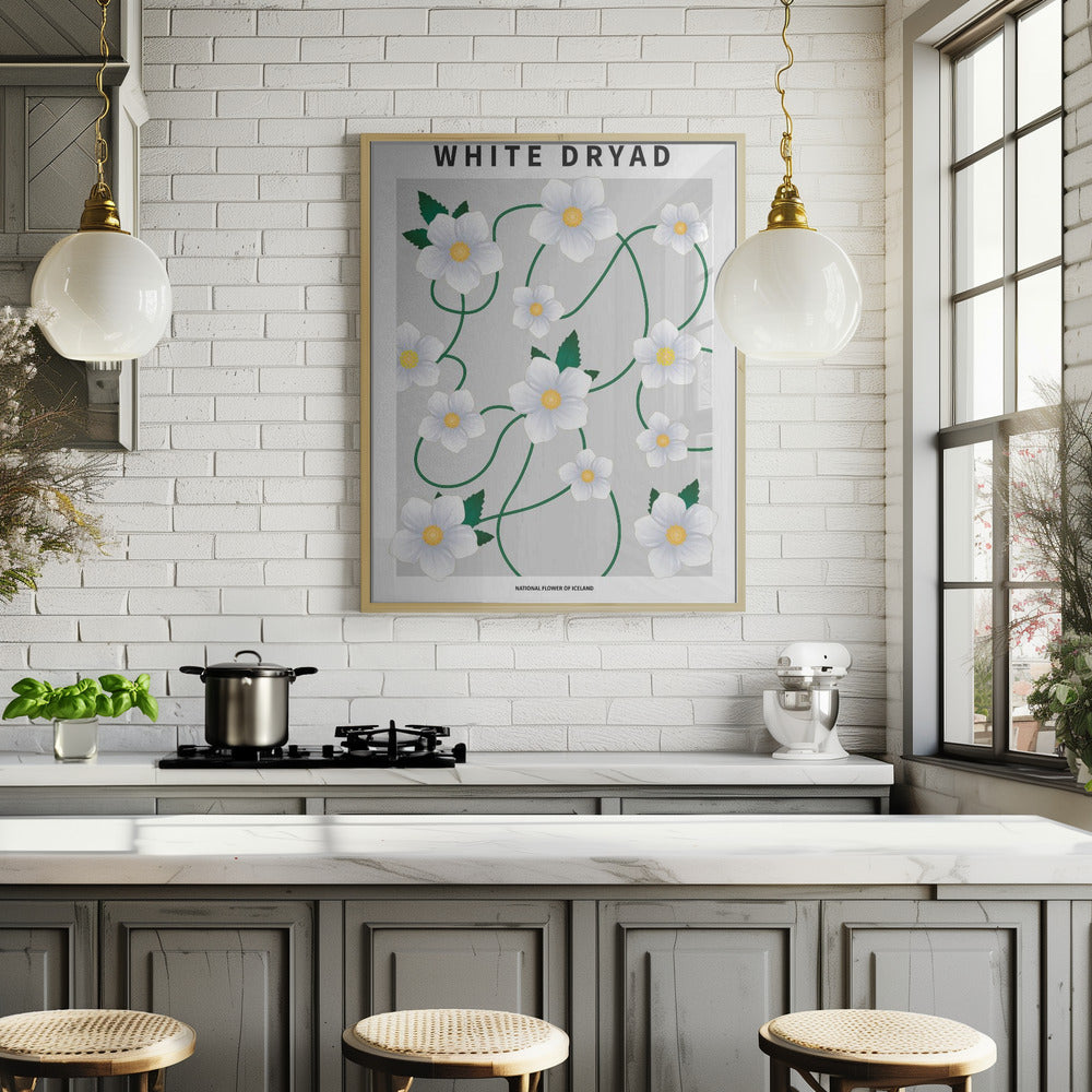 White dryad - National flower of Iceland Poster