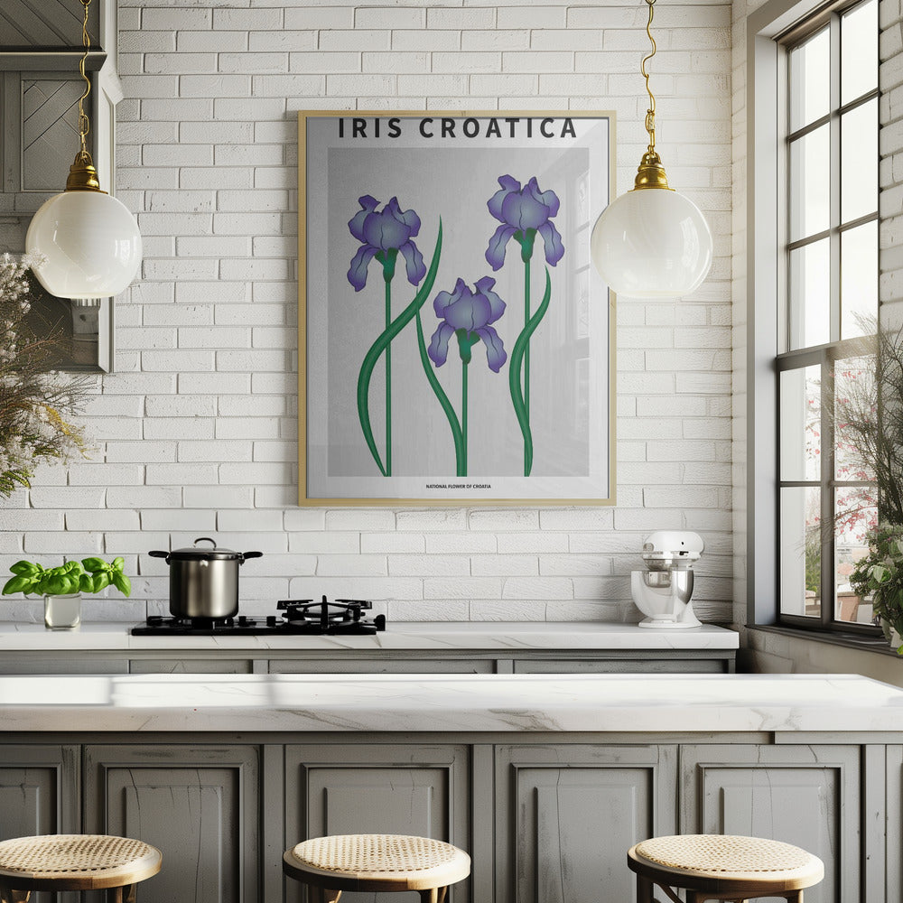Iris Croatica - National flower of Croatia Poster