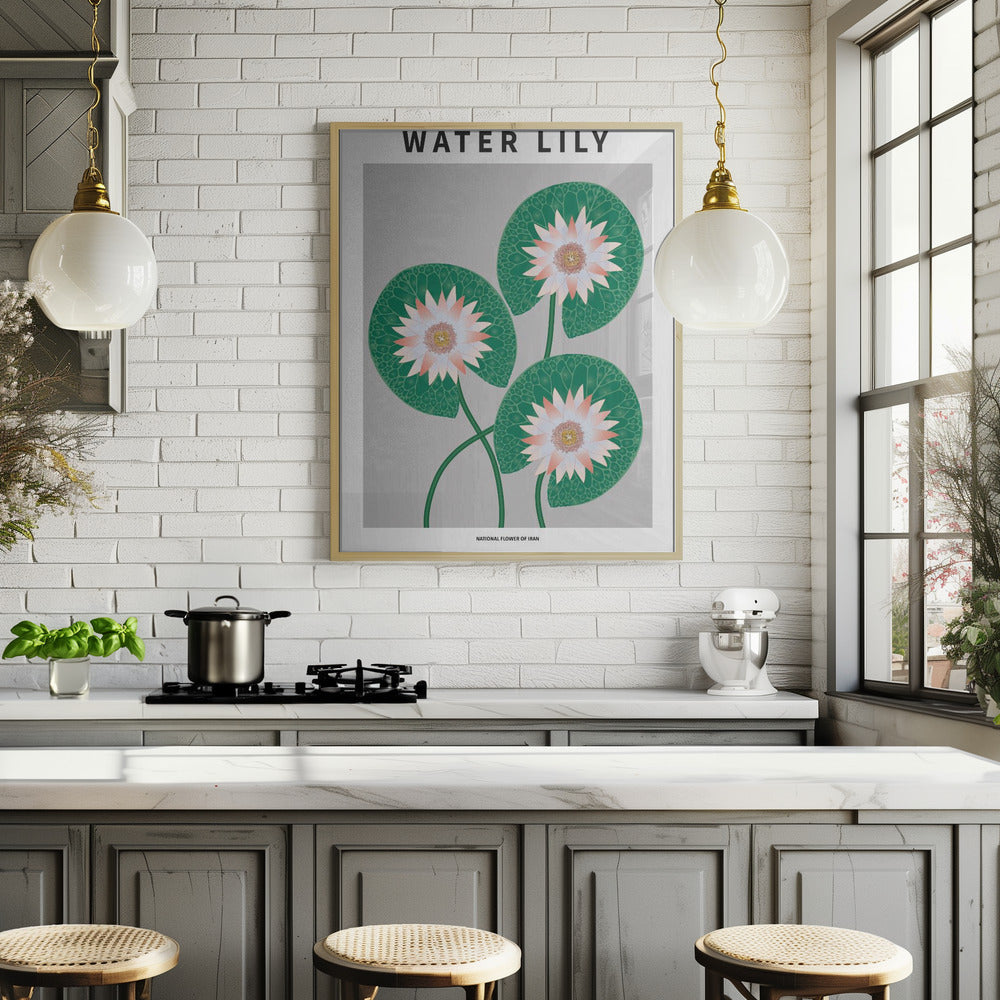 Water Lily - National flower of Iran Poster