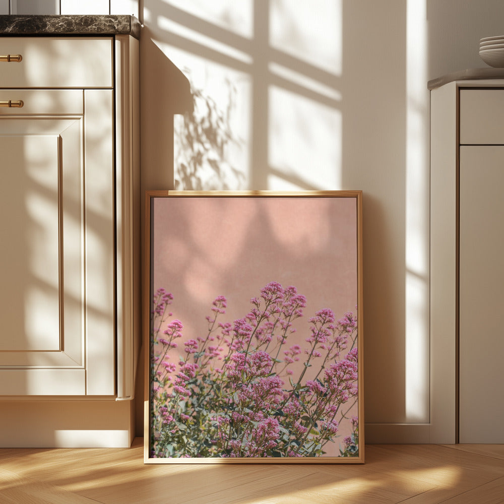 Summer Flowers Poster