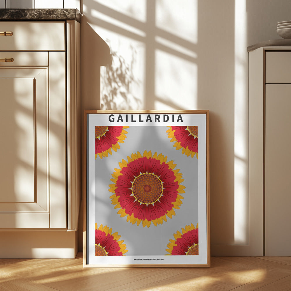 Gaillardia - National flower of Belgium Poster
